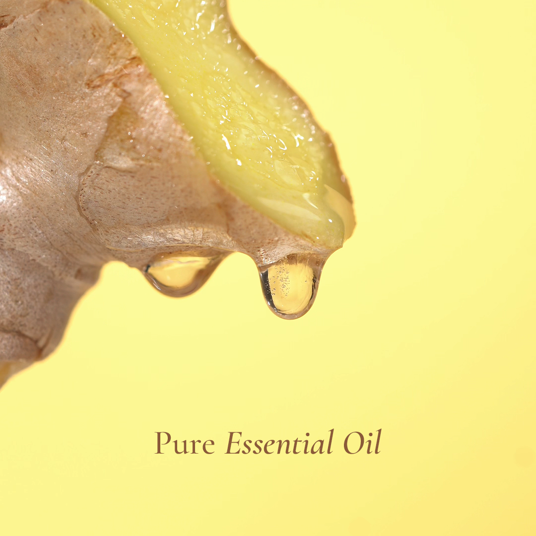Tinh dầu gừng tự nhiên — Pure Essential Oil